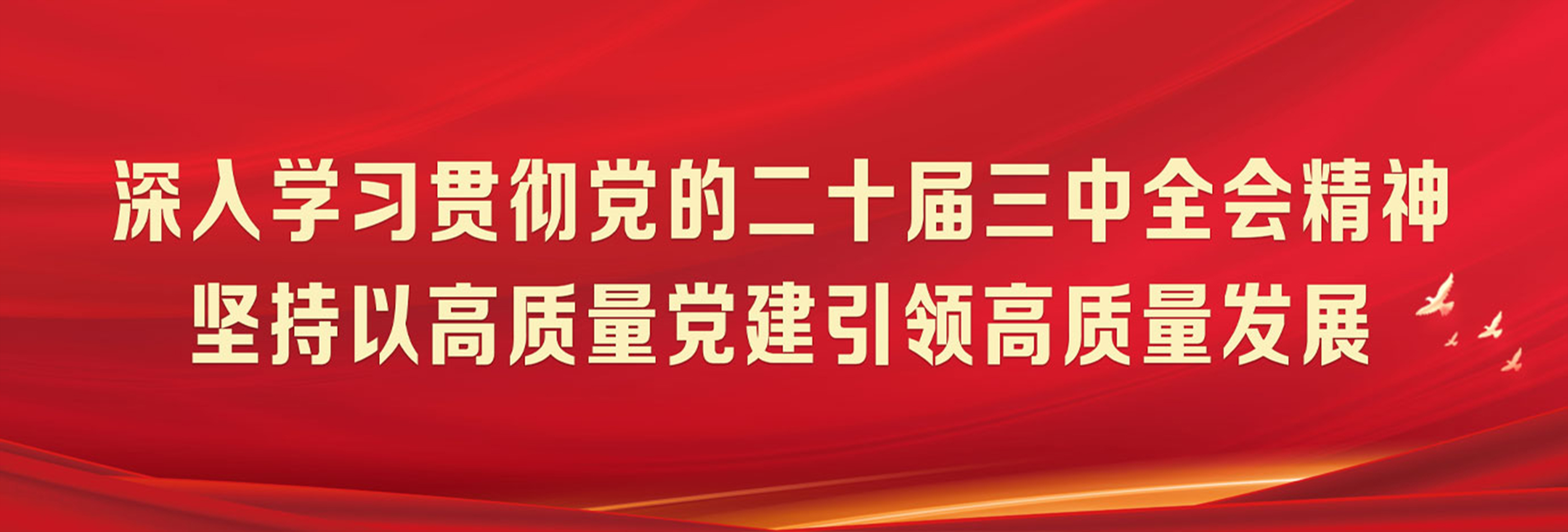 微信图片_20250115144154.jpg